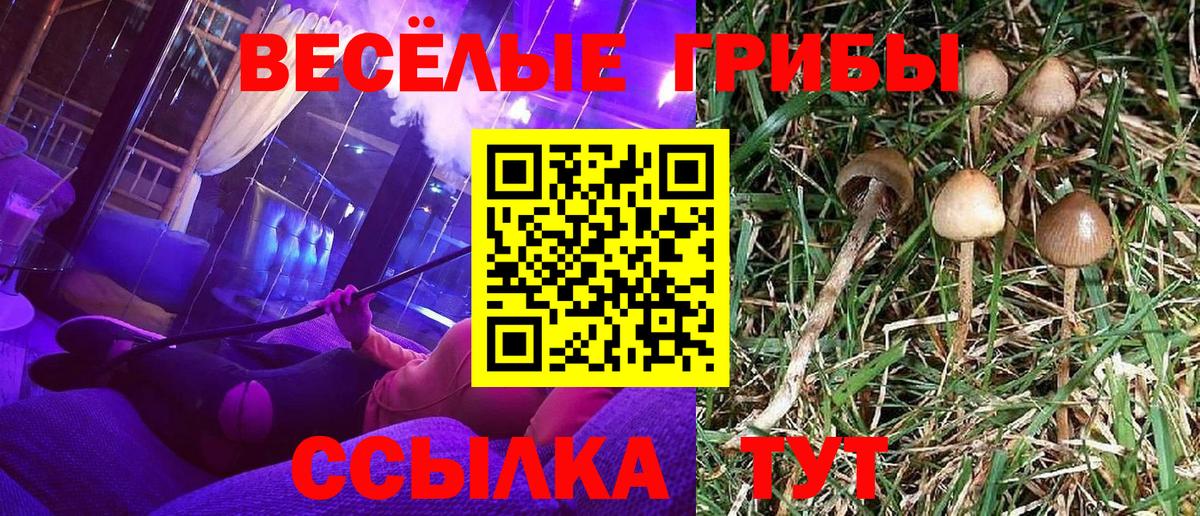 Партизанск  Псилоцибиновые грибы прущие грибы  Вход с VPN  закладка  Галлюциногенные грибы Psilocybine cubensis 